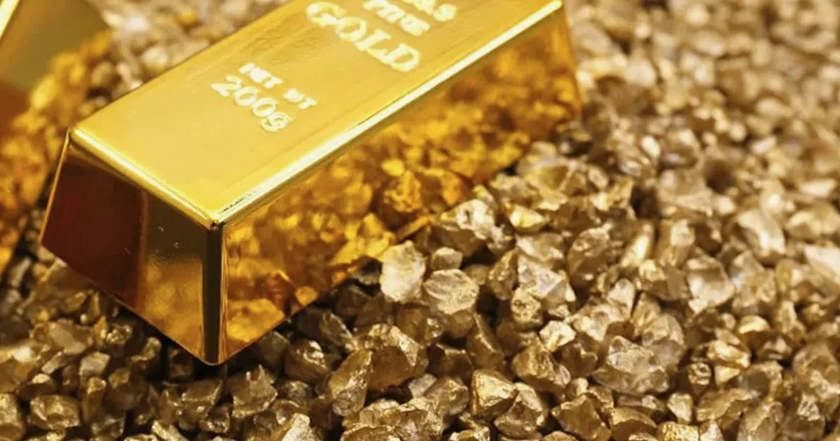 Wheaton Precious Metals Pullback Tests Growth Narrative Amid Valuation Split