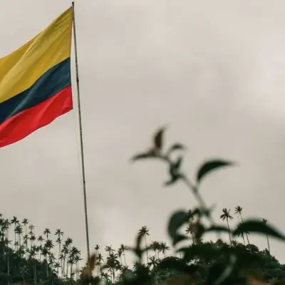 Doanh thu cocaine của Colombia vượt qua doanh thu xuất khẩu dầu năm 2024