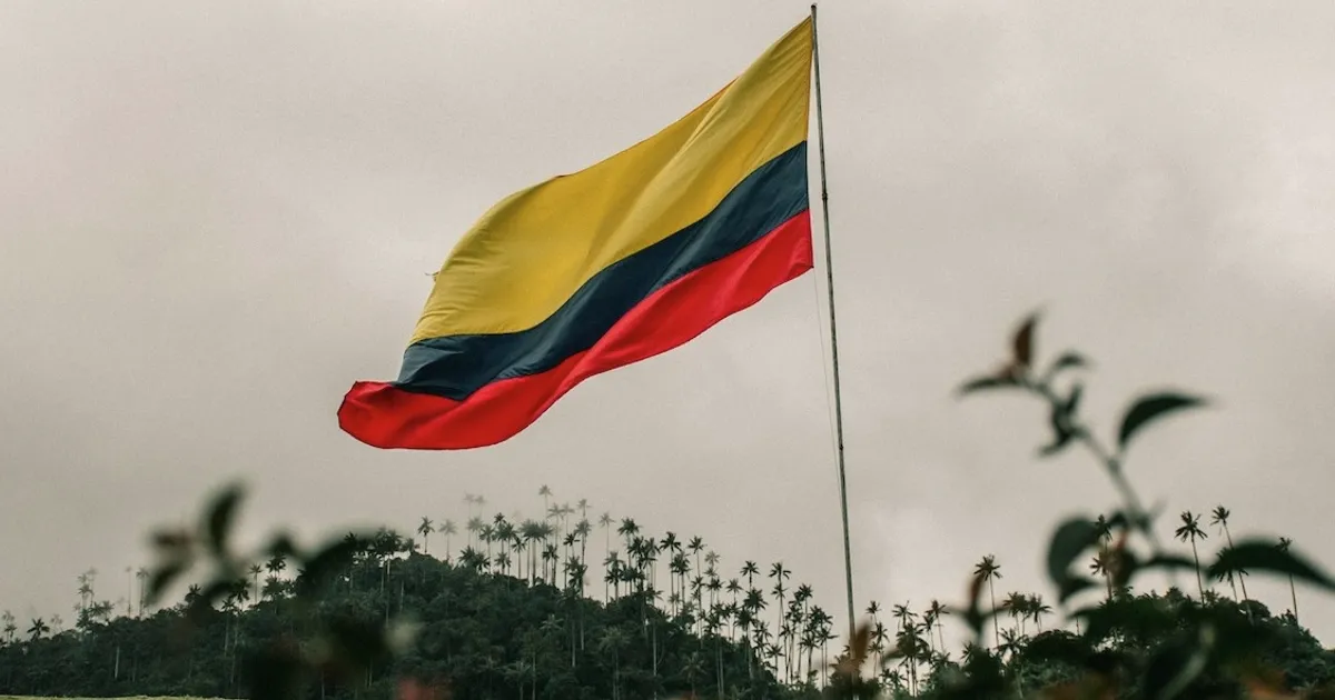 Ingresos de cocaína en Colombia superan a los de exportación de petróleo en 2024