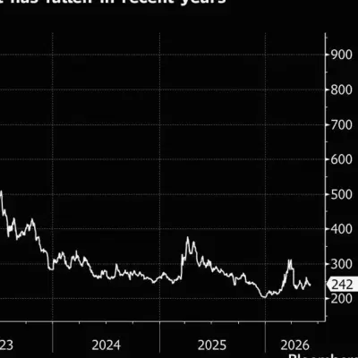 Algebris Buys Turkish CDS Protection as Credit Risks Mount