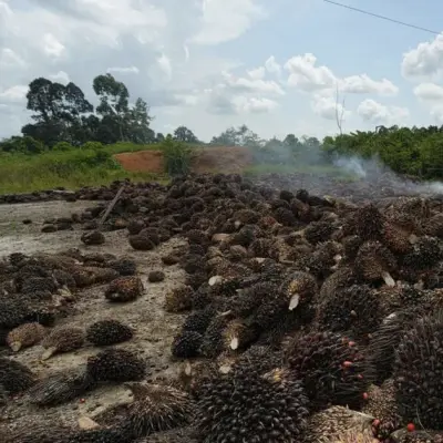 Indonesia Advances Export Control Plan Despite Uncertainty