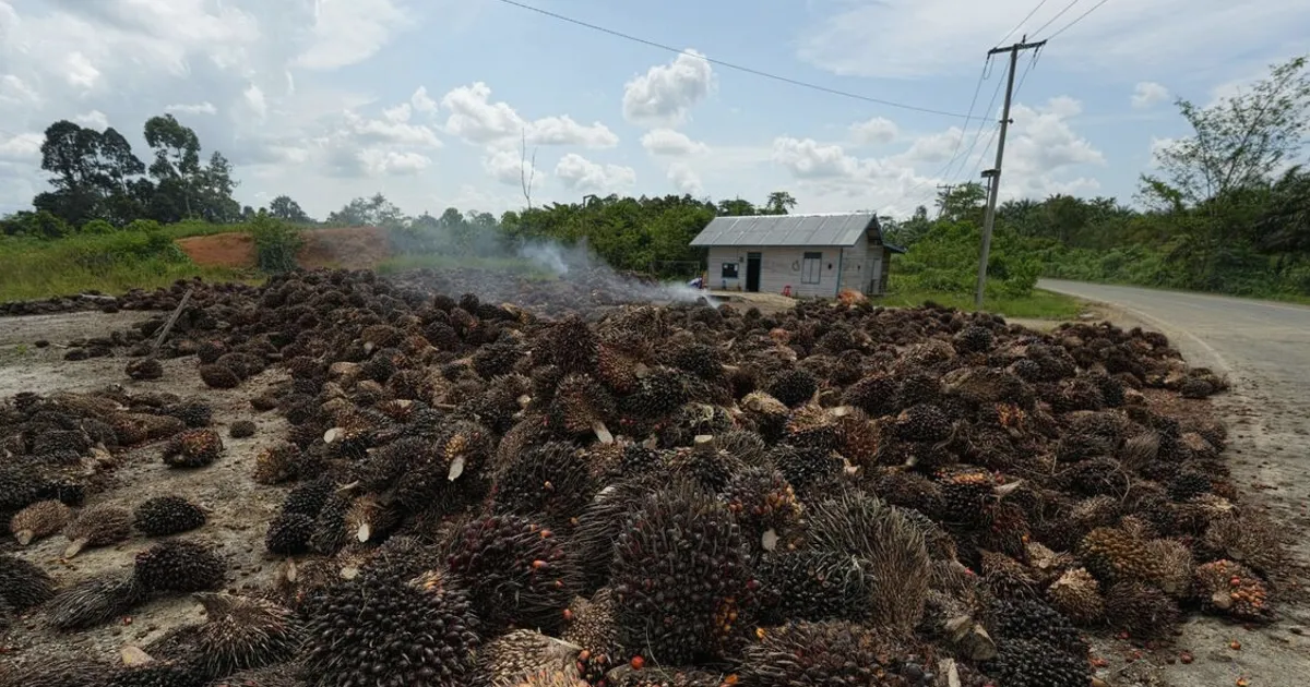 Indonesia Advances Export Control Plan Despite Uncertainty