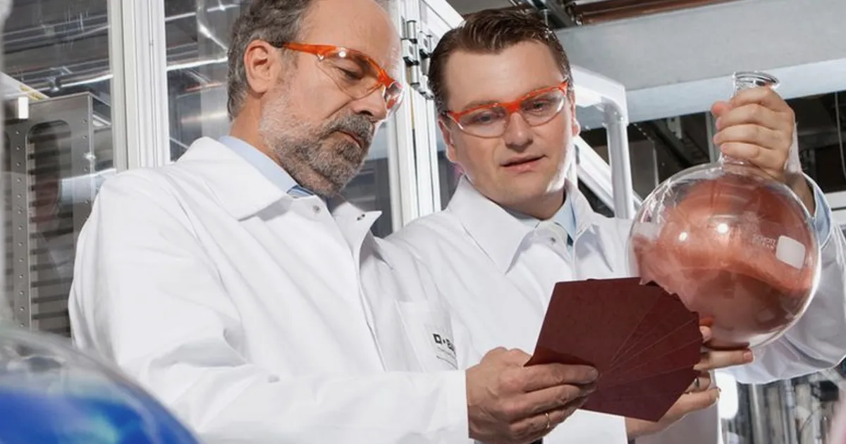 BASF valuation in focus as share price momentum meets conflicting signals