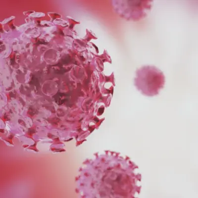 H.C. Wainwright Raises Immunovant Target to $40 on RA Trial Data