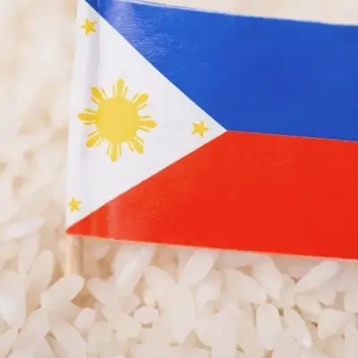 Philippines rice production forecast cut on high costs and weather