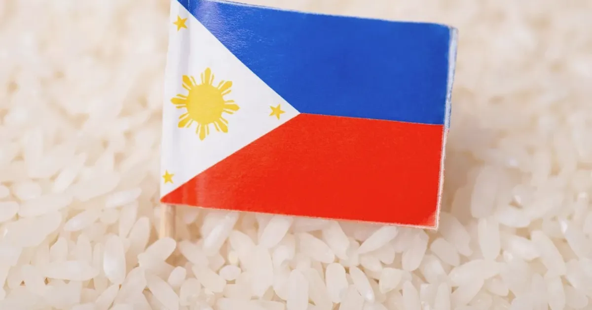 Prévision de production de riz aux Philippines réduite en raison des coûts et de la météo