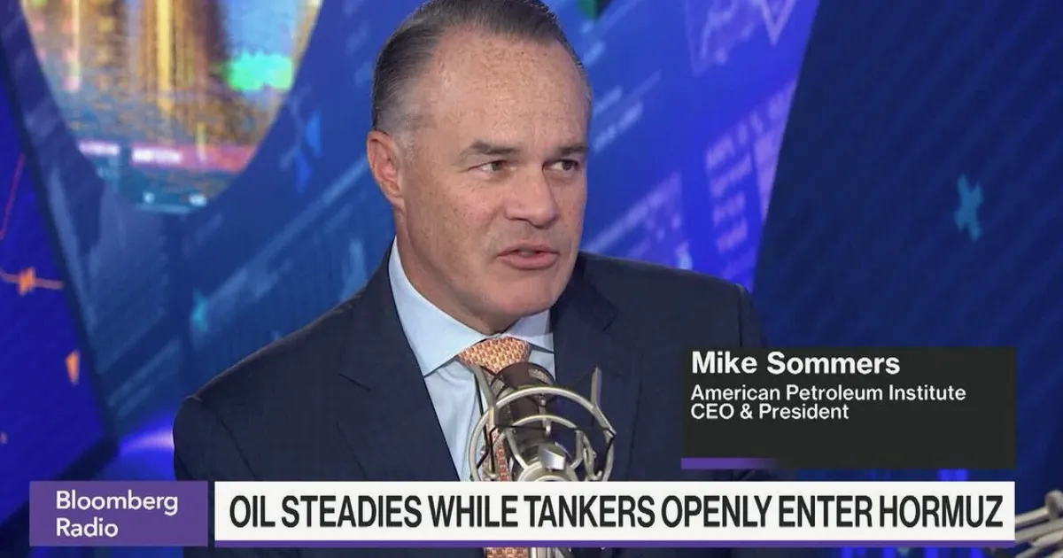 API Chief: Strategic Petroleum Reserve Needs Upgrade, Not Political Use