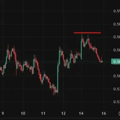 New Zealand Food Prices Rise 1.0% in May, NZD Sees Limited Reaction