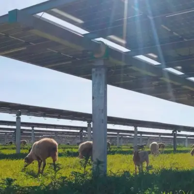 Wall Street Shifts Focus to Solar-Plus-Storage Projects