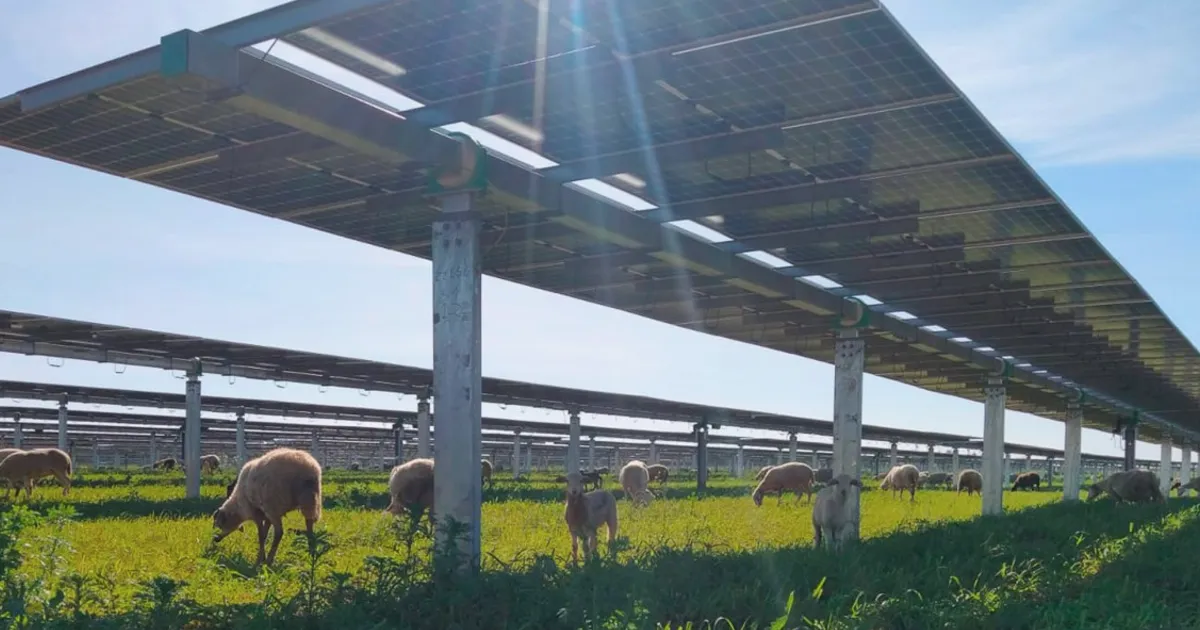Wall Street Shifts Focus to Solar-Plus-Storage Projects