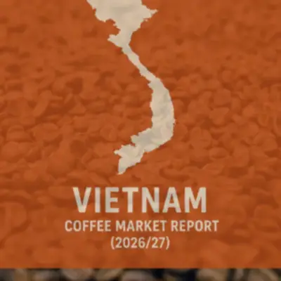 Vietnam Coffee Output to Rise for Third Straight Year in 2026/27