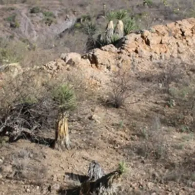 Zacatecas Silver to Acquire Multi-Asset Portfolio from Heliostar Metals