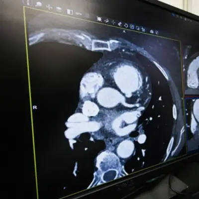 Heart Biotech Kardigan Targets $373M in US IPO for Late-Stage Drugs