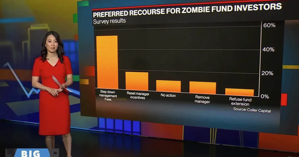 Private Equity Zombie Funds Expected to Multiply as Deal Lull Persists