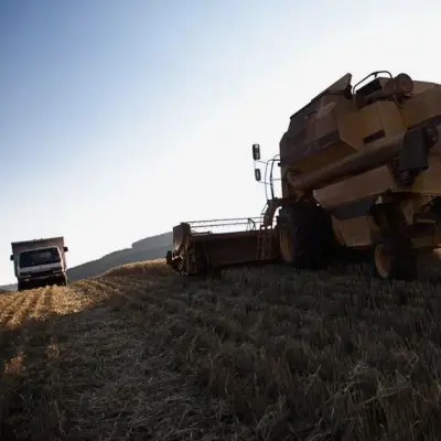 Kenya Plans $772 Million Green Bonds to Boost Agriculture