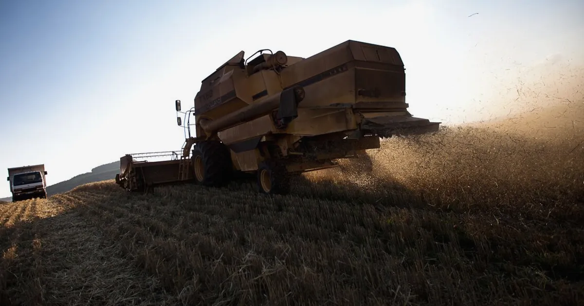 Kenya Plans $772 Million Green Bonds to Boost Agriculture