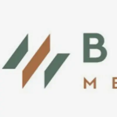 Bolt Metals Completes MobileMT Survey at Northwind Property, Quebec