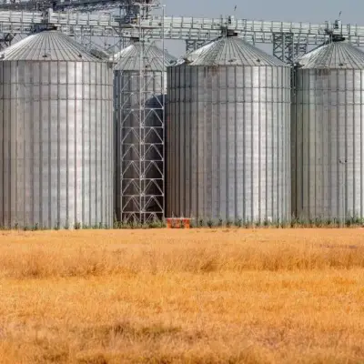 Les stocks de céréales américains augmentent avant la récolte, les traders surveillent la météo