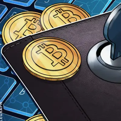 Thousands of crypto wallets at risk from ‘Ill Bloom’ vulnerability: Coinspect