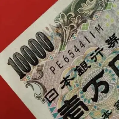 Japan FX diplomat says April intervention slowed yen decline
