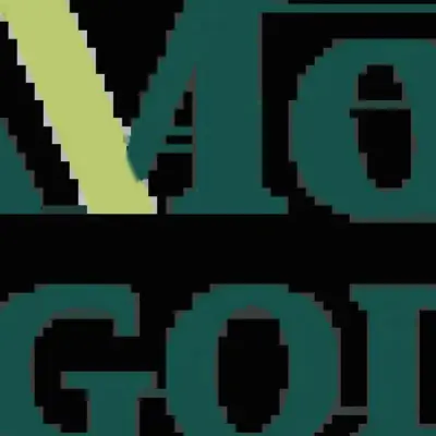 Montage Gold appoints William Lundin, Teitur Poulsen to board after annual meeting