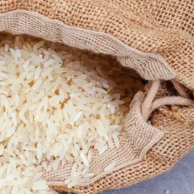 Gafta lance des contrats de riz mis à jour après la fusion avec London Rice Brokers