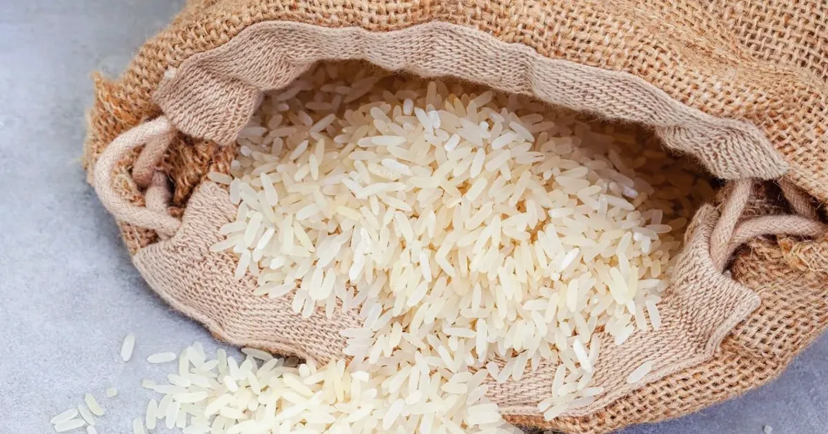 Gafta lance des contrats de riz mis à jour après la fusion avec London Rice Brokers