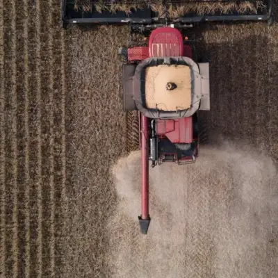 China Extends US Soybean Buying Spree as Trade Thaw Continues