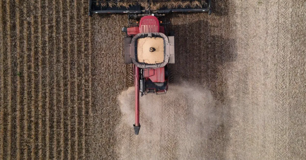 China Extends US Soybean Buying Spree as Trade Thaw Continues