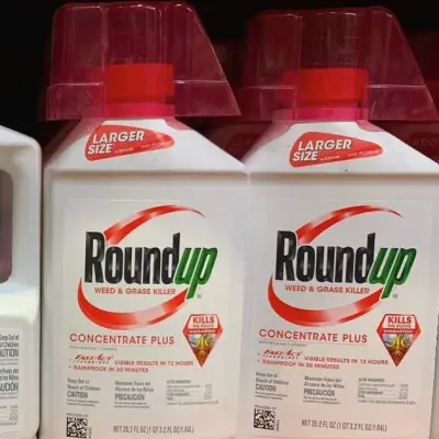 Bayer stock jumps after Supreme Court sides with Roundup maker