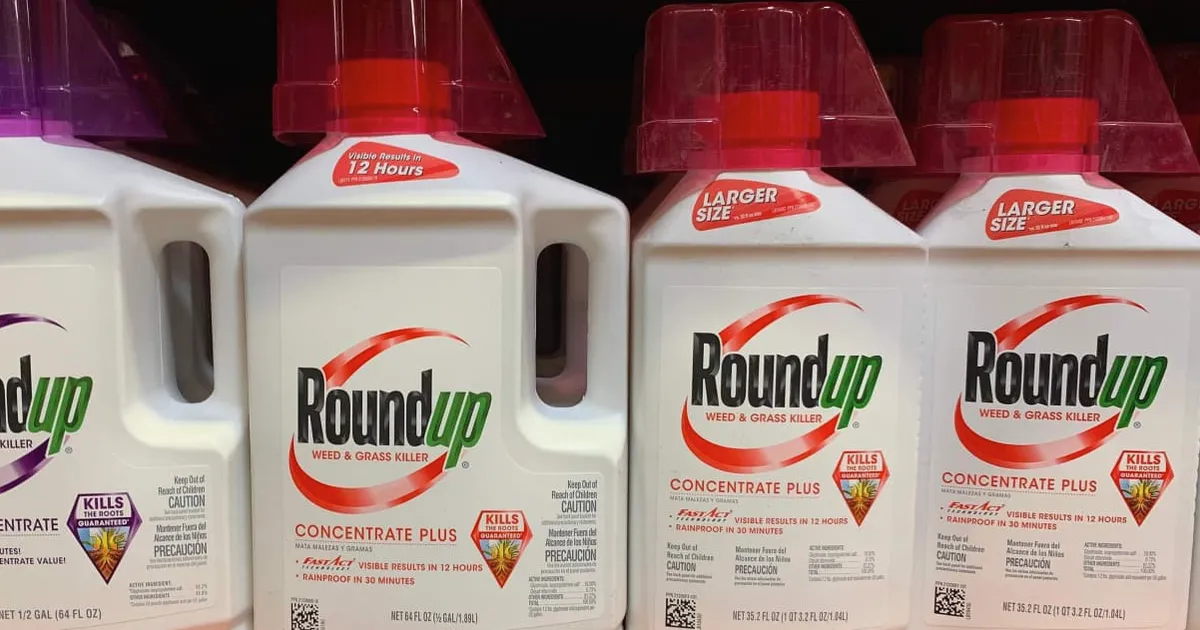 Las acciones de Bayer suben tras fallo de la Corte Suprema a favor del fabricante de Roundup