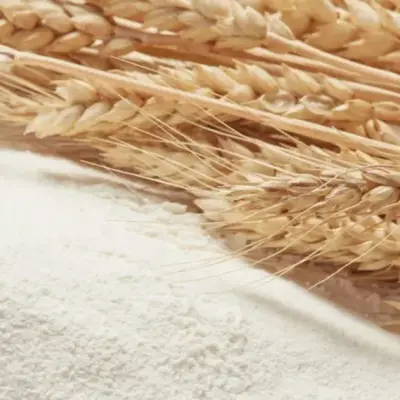 Protein content not the only factor in wheat grist decisions