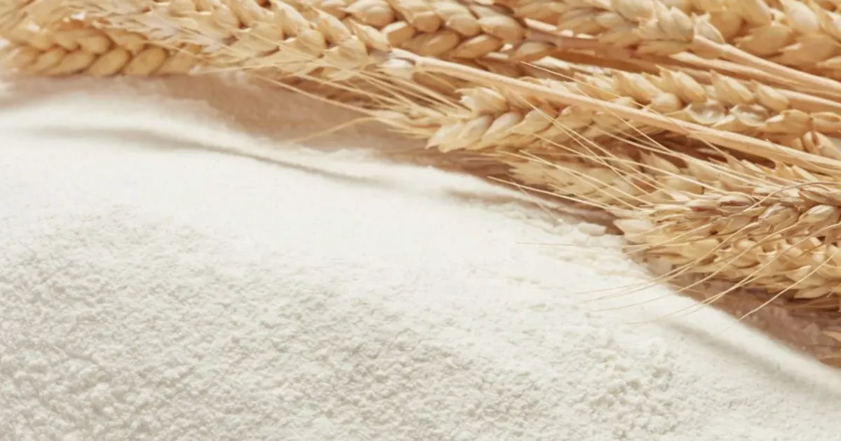 Hàm lượng protein không phải yếu tố duy nhất trong quyết định phối trộn lúa mì