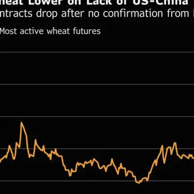 Wheat Futures Fall on Missing Chinese Confirmation of Grain Buys
