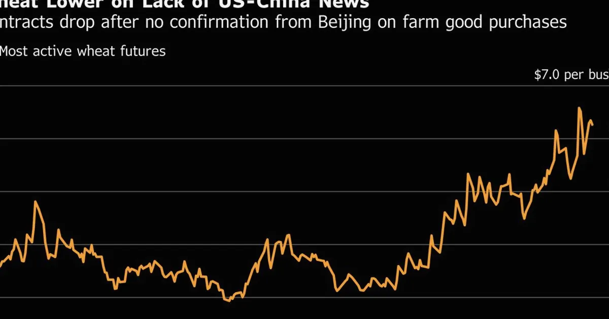 Wheat Futures Fall on Missing Chinese Confirmation of Grain Buys