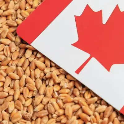 Cereals Canada elege Adam Dyck como novo presidente do conselho
