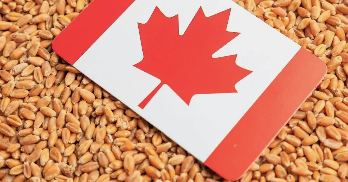 Cereals Canada elege Adam Dyck como novo presidente do conselho