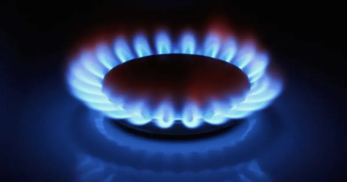 SWX vs. SR : Quelle action de distributeur de gaz offre de meilleurs rendements